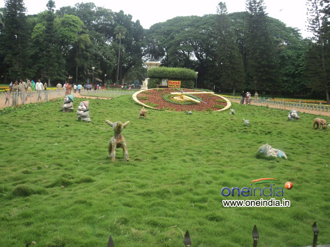 Lalbagh Flower Show 2013