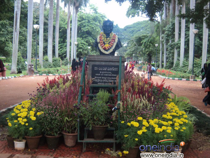 Lalbagh Flower Show 2013