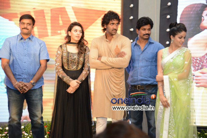 Doosukeltha Audio Launch