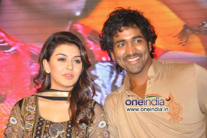 Doosukeltha Audio Launch