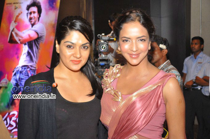Doosukeltha Audio Launch