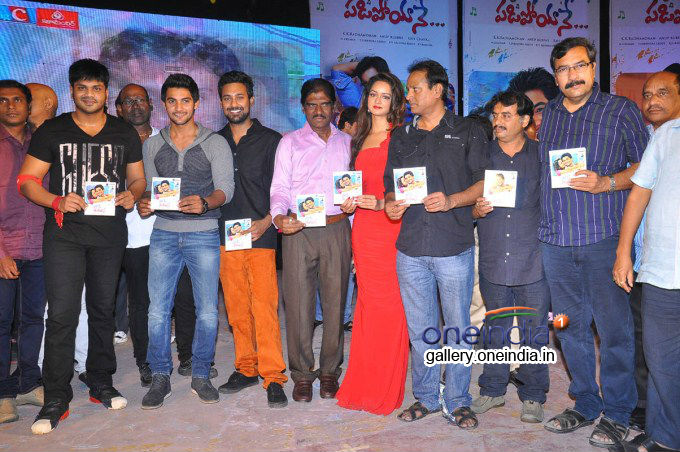 Pyar Mein Padipoyane Audio Launch