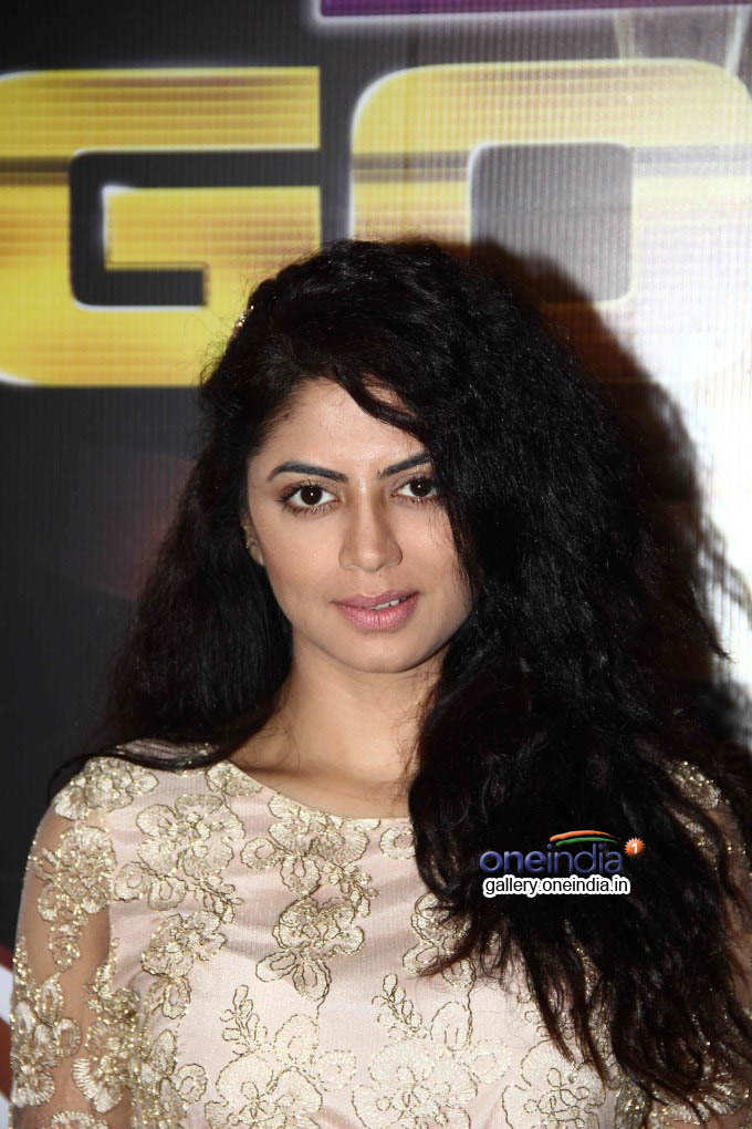 TV Celebs glitter on the Red Carpet of 7th Boroplus Gold Awards