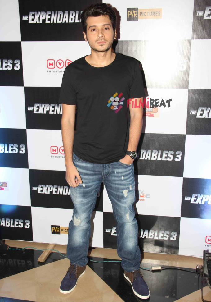 Expendables 3 Premiere