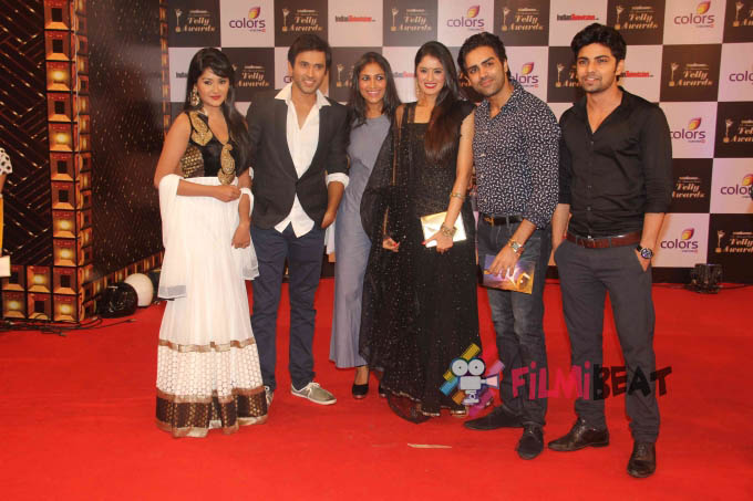 13th Indian Telly Awards 2014