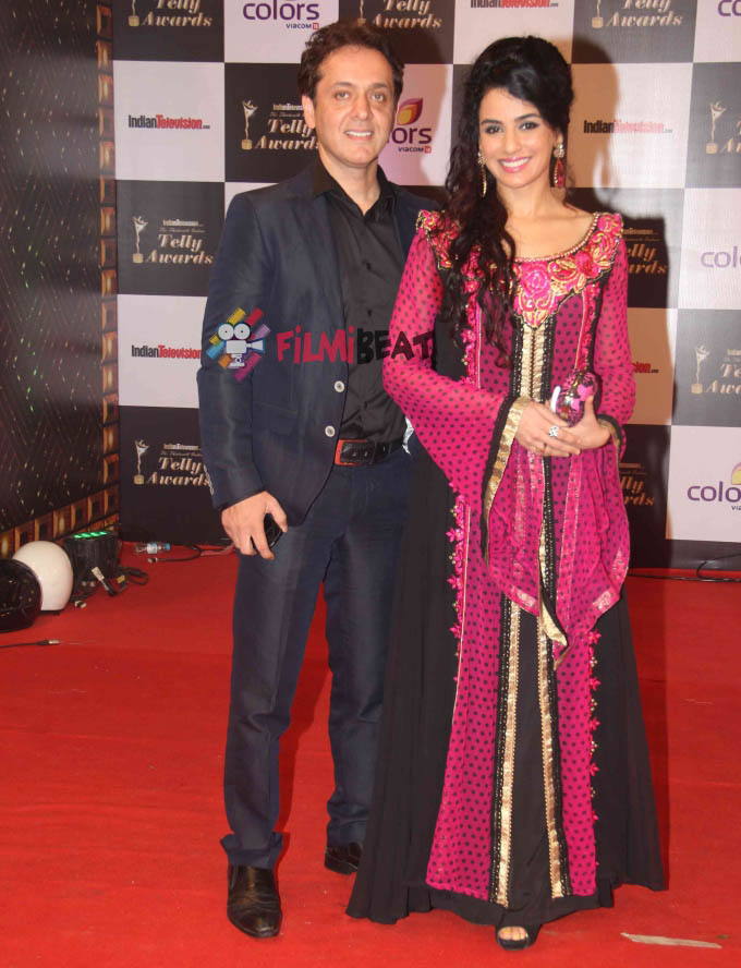 13th Indian Telly Awards 2014