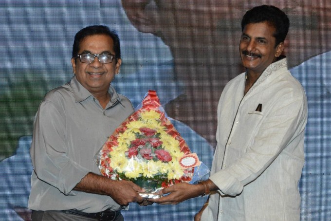 Brother Of Bommali Audio Launch