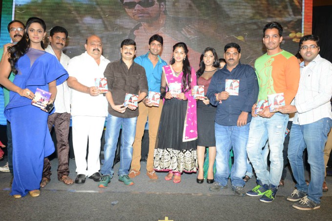 Brother Of Bommali Audio Launch