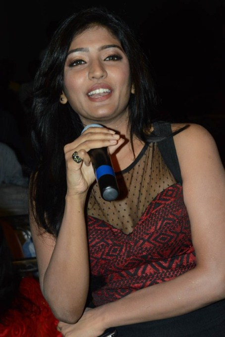 Brother Of Bommali Audio Launch