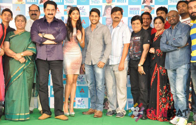 Oka Laila Kosam Success Meet