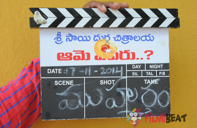 Aame Evaru Movie Launch