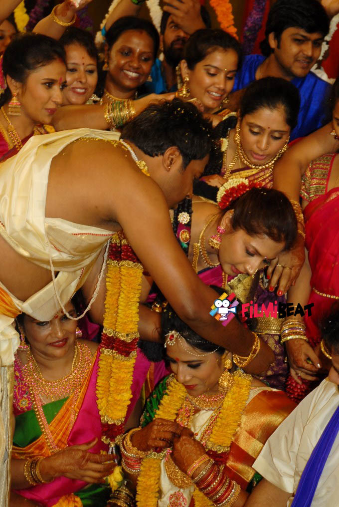 T S Nagabharana's Son Pannaga Weds Nikita Priya