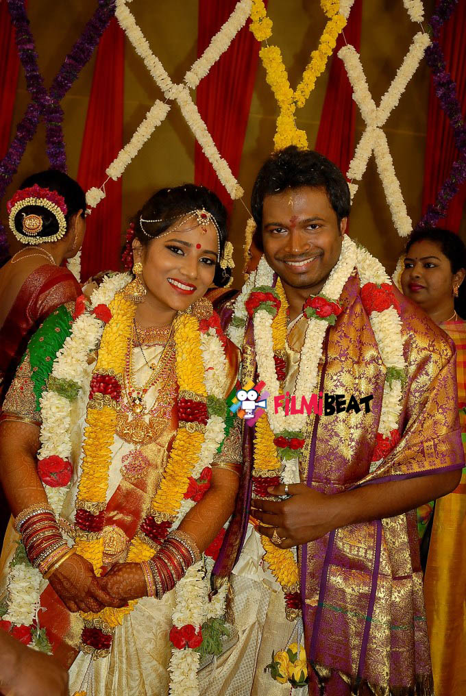 T S Nagabharana's Son Pannaga Weds Nikita Priya