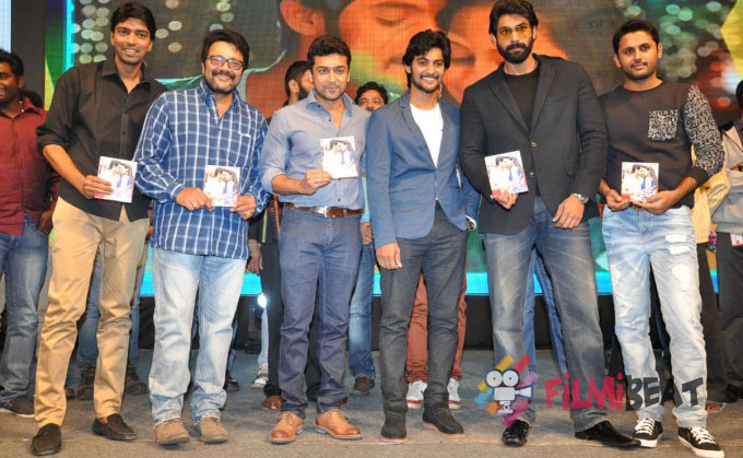 Rough Audio Launch