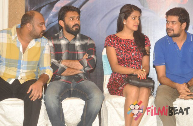 Rowdy Fellow Movie Success Meet