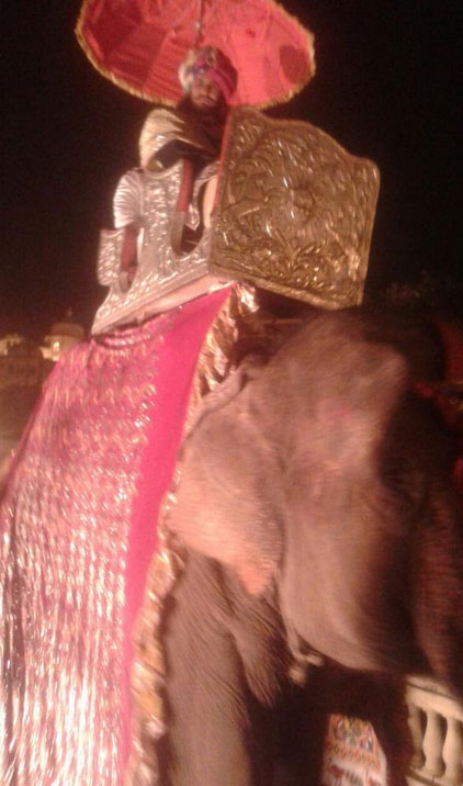 Rajat Tokas & Shrishti Nayyar Wedding