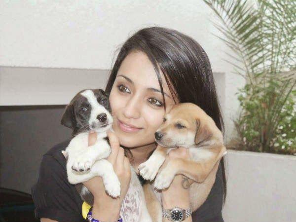 Indian Celebrities With Their Pets