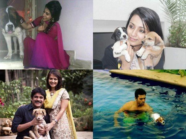 Indian Celebrities With Their Pets