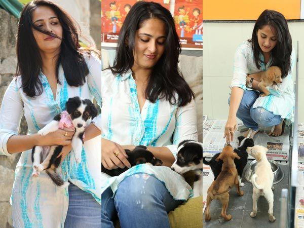 Indian Celebrities With Their Pets