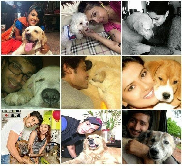 Indian Celebrities With Their Pets