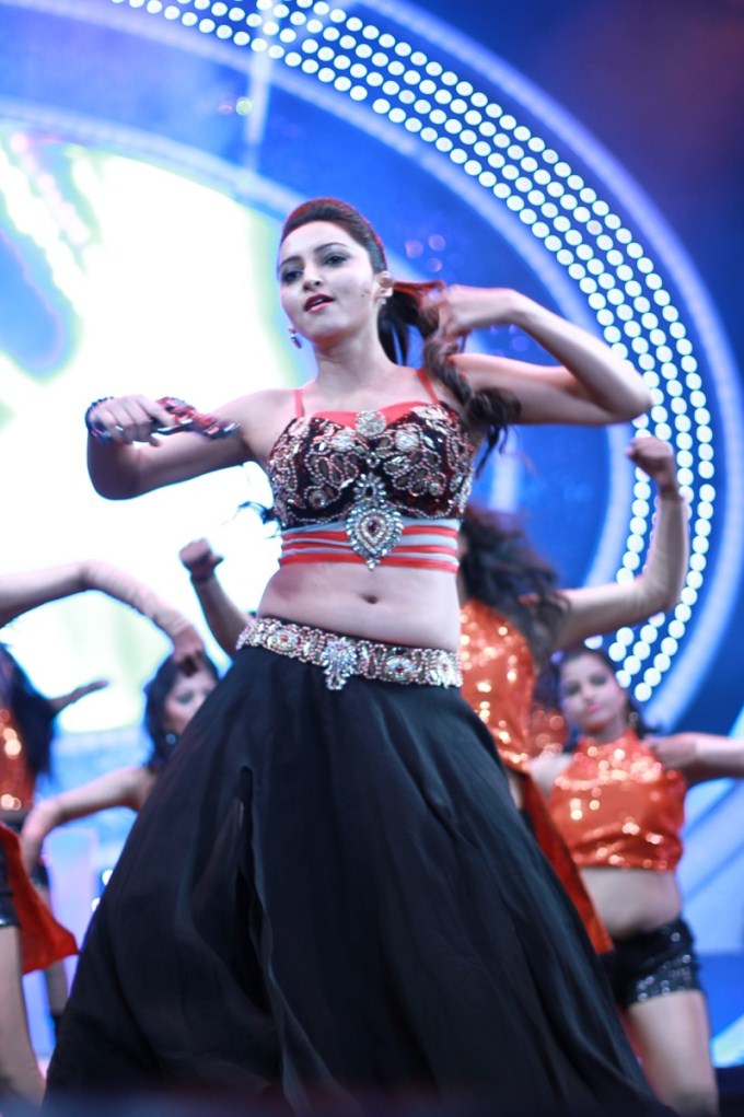 Britannia South Filmfare Awards 2015