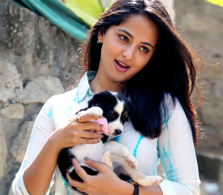 Indian Celebrities With Their Pets