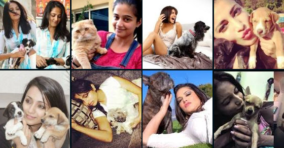 Indian Celebrities With Their Pets
