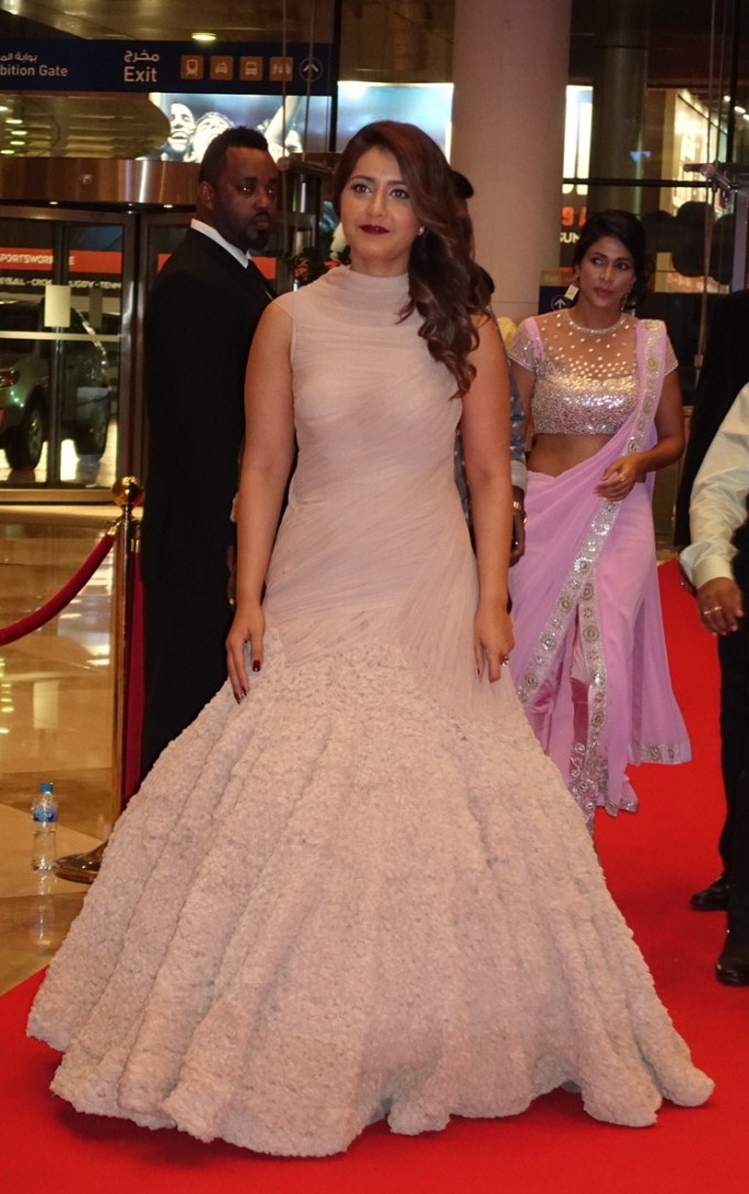 SIIMA Awards 2015