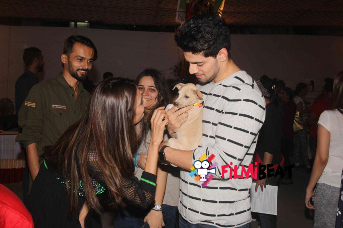 Bollywood Celebs Support Animal Adoption Drive