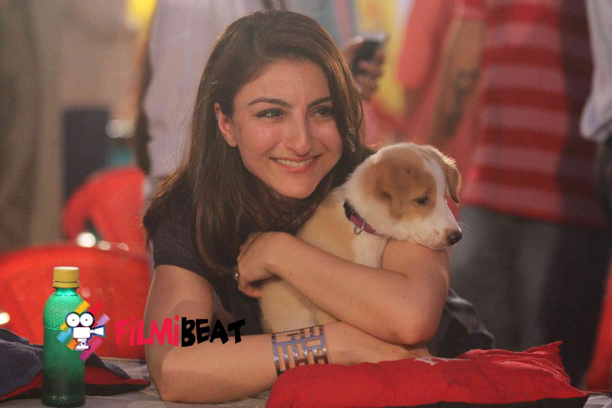 Bollywood Celebs Support Animal Adoption Drive