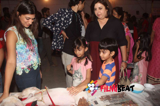 Bollywood Celebs Support Animal Adoption Drive