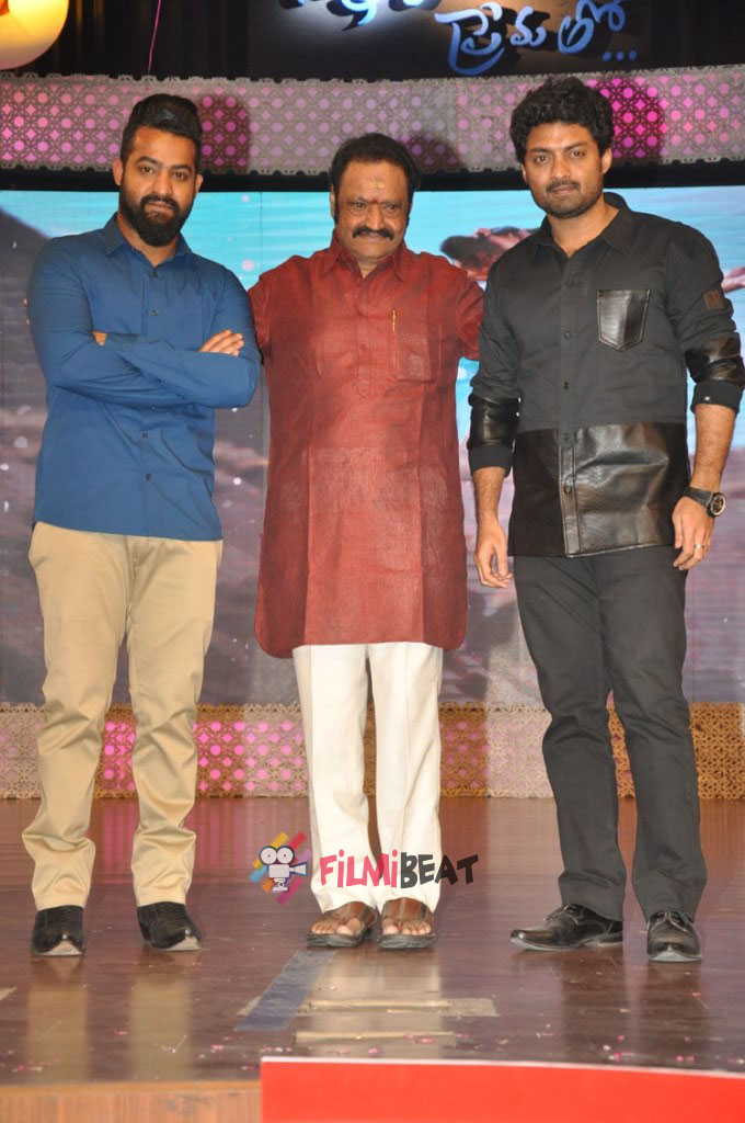 Nannaku Prematho Audio Launch