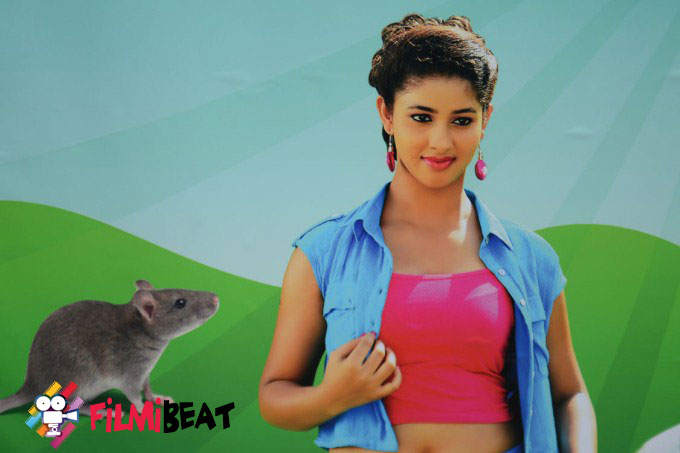 Yeluka Majaka Press Meet