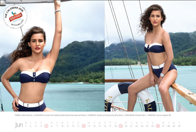 Kingfisher Calendar 2016