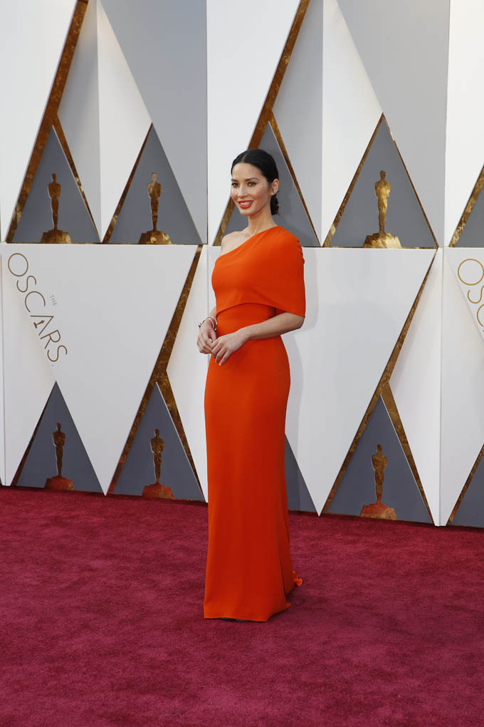 Dresses Galore On the Red Carpet Of Oscar 2016