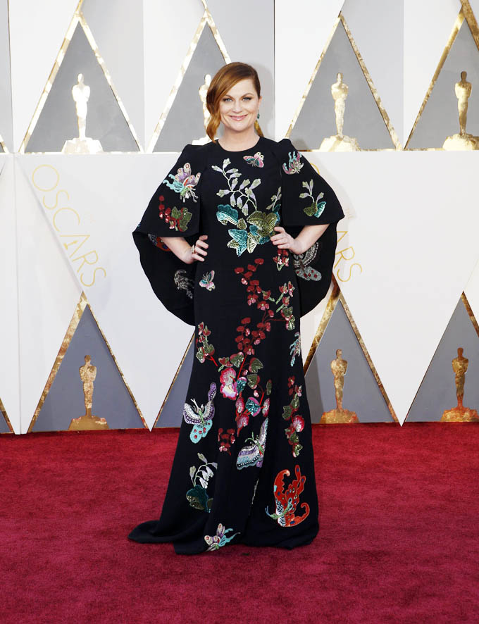 Dresses Galore On the Red Carpet Of Oscar 2016