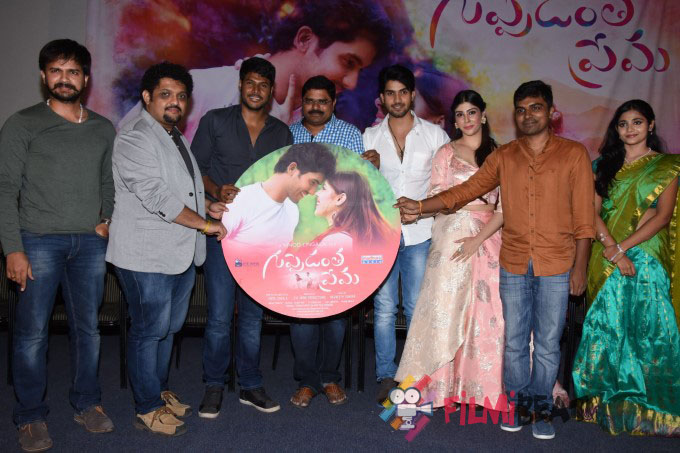 Guppedantha Prema Audio Launch