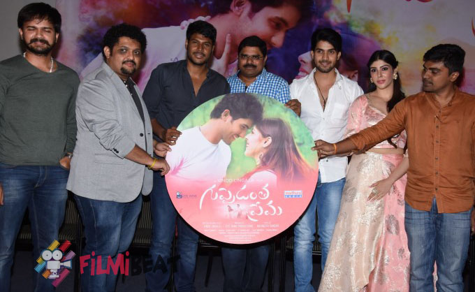 Guppedantha Prema Audio Launch