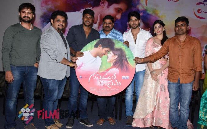 Guppedantha Prema Audio Launch