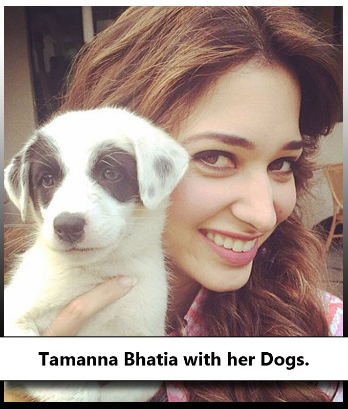 Indian Celebrities With Their Adorable Pets