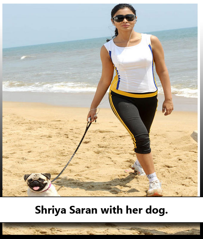 Indian Celebrities With Their Adorable Pets