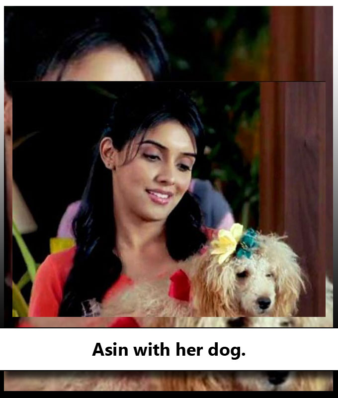 Indian Celebrities With Their Adorable Pets