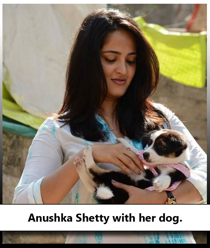 Indian Celebrities With Their Adorable Pets