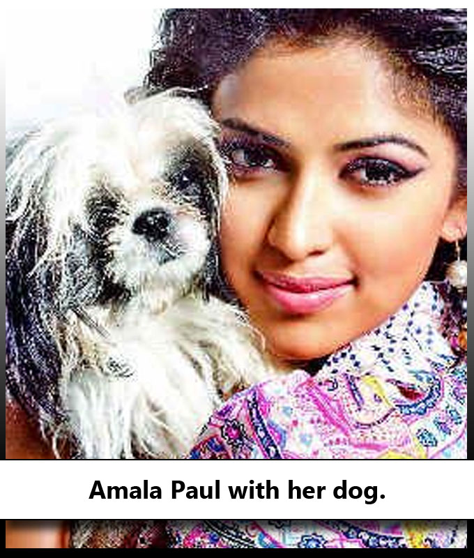 Indian Celebrities With Their Adorable Pets