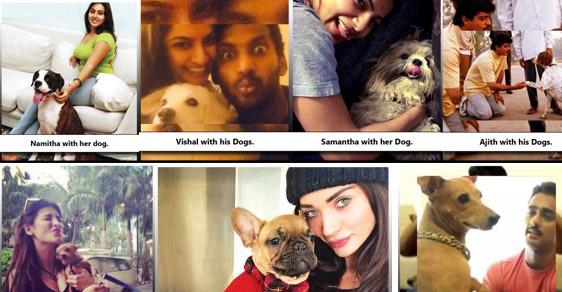 Indian Celebrities With Their Adorable Pets