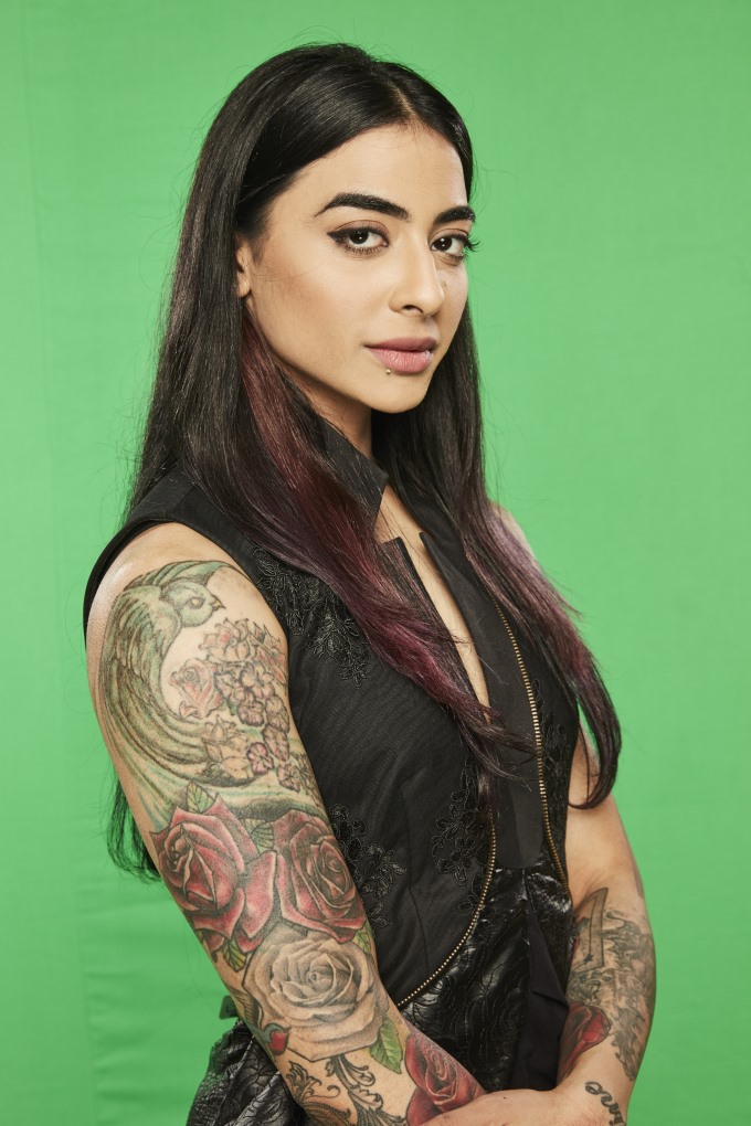 Bigg Boss 2016 Season 10 Contestants