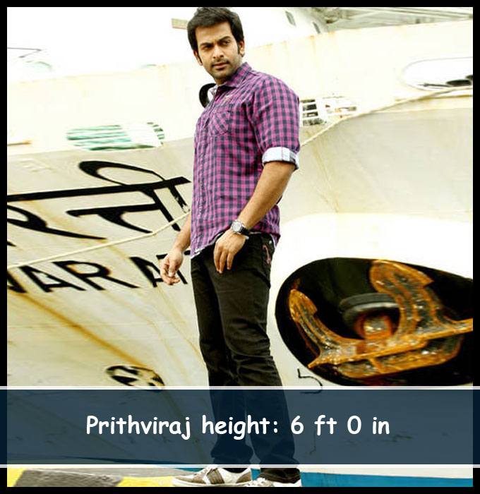Know Your Favorite Tamil Actors Height
