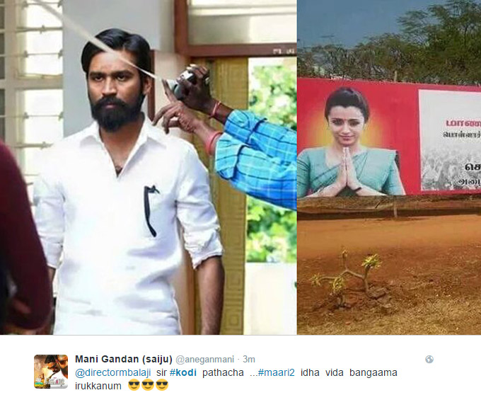 Kodi Movie Audience Response