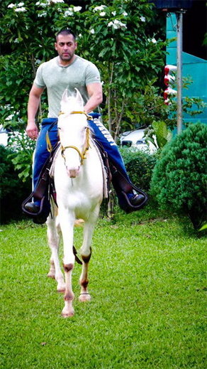 Salman Khan Farm House In Mumbai 