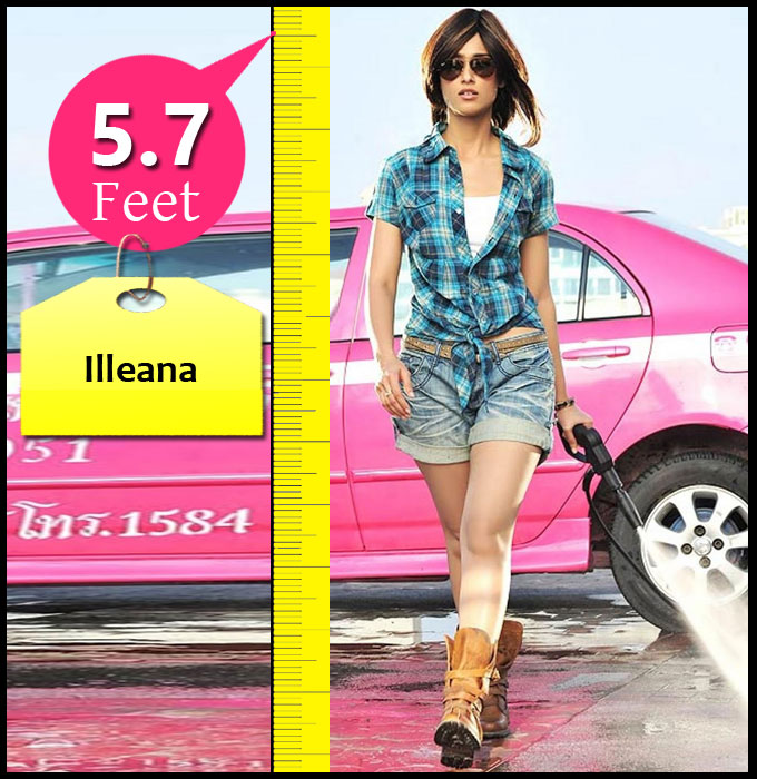 Check Out The Height Of Tamil Celebrities